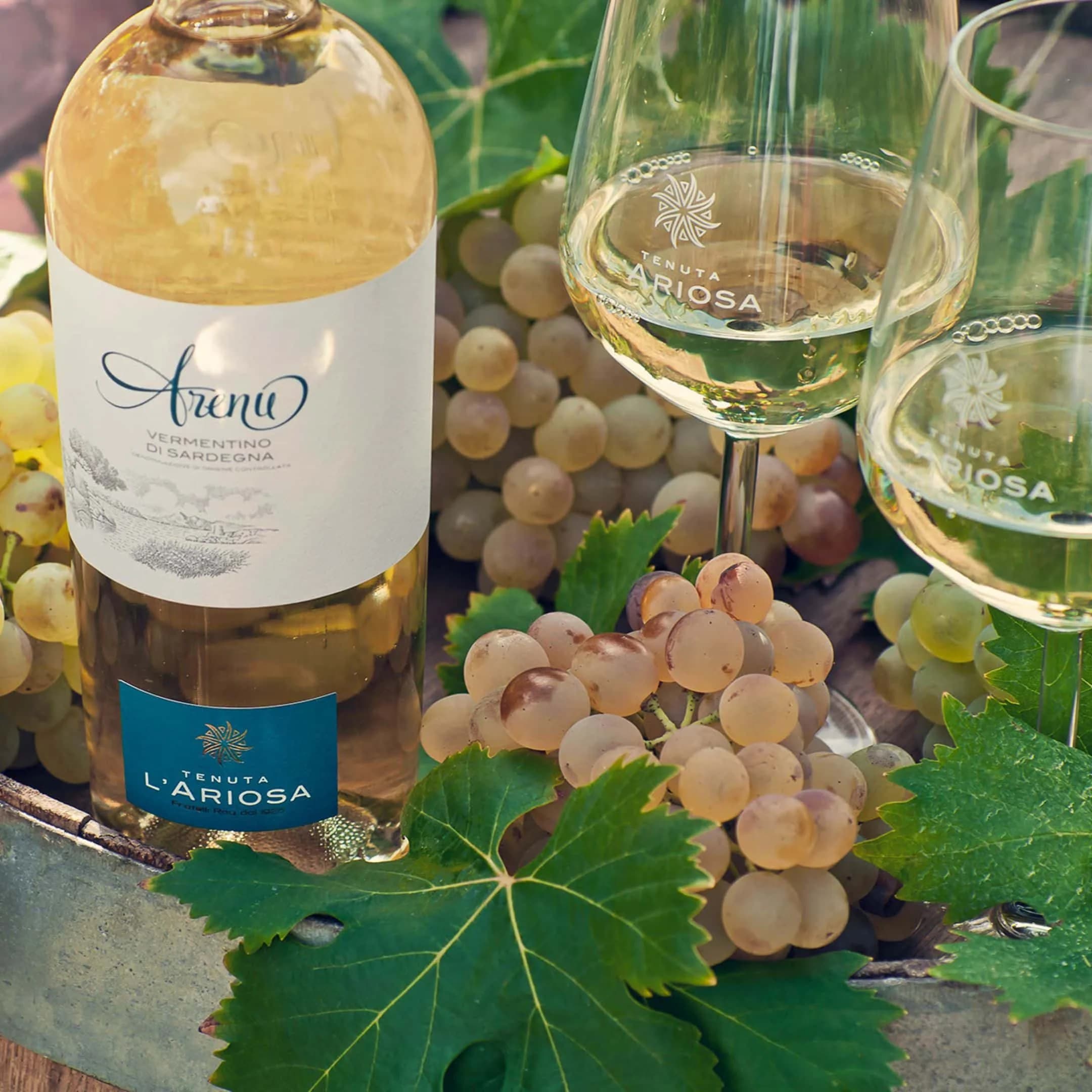 Arenu Vermentino – Från Sardiniens hjärta